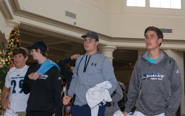 体育场景配图（资料示意）